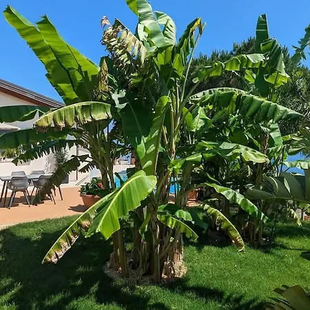 Con Piscina Su Terrazza Vista Mare アパート サンレモ